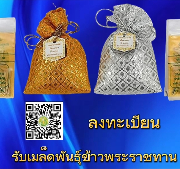 inbound2662639070440529792