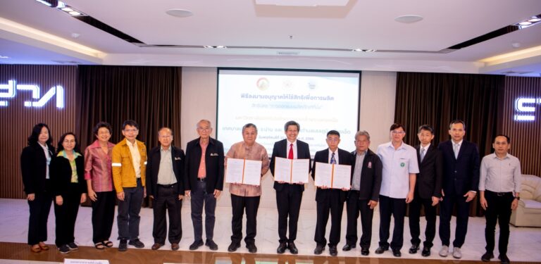 inbound463233839315762084