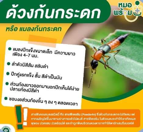 inbound2985719511325786782