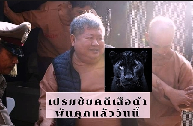 inbound4402568883821876230