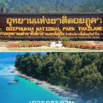 Oplus_131072
