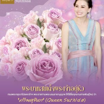 พระบาทสมเด็จพระเจ้าอยู่หัว ทรงพระราชทานนามดอกกุหลาบควีนสุทิดา กุหลาบสายพันธ์ุใหม่โครงการหลวง